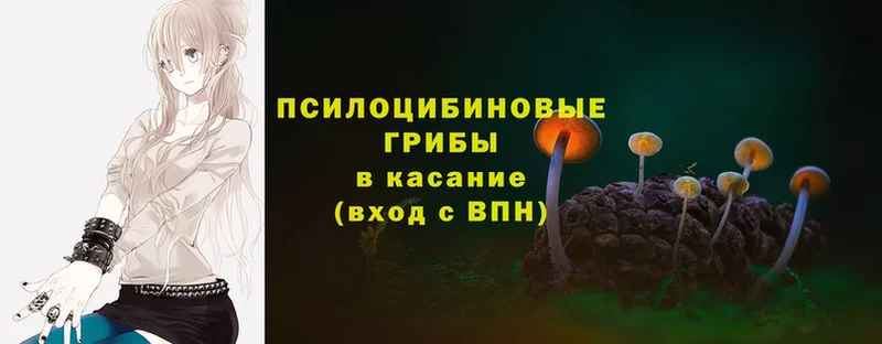 Галлюциногенные грибы MAGIC MUSHROOMS  Нижнеудинск 